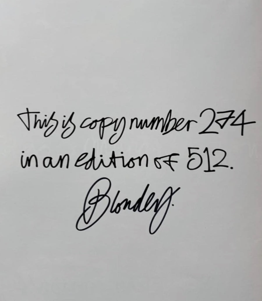 Blondey 512 words (& some picture) Zine